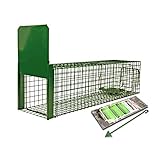 Holtaz Fallen Strong Grün 120x34x42 cm 1 Tür Marderfalle Katzenfalle Fuchsfalle Biberfalle Tierfalle Kastenfalle Drahtfalle Lebendfalle Mit Extra Kö