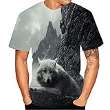 Yowablo T-Shirt Herren 3D Flood Printed Kurzarm Top Bluse (XXL,5Grau)