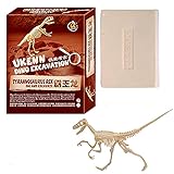 WWJ Archäologische Fossile Ausgrabungsspielzeug, Dinosaurier Graben Kits Mit Brille Und Lupe DIY Montage Dinosaurier Fossilienbagger Kits Kinder Populäre Wissenschaft Bildung Spielzeug,Set 5