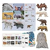 Percilun Pick&Link, Montessori Spielzeug Ab 2 Jahre, Tiere Spielzeug, Lernkarten Kinder, Lernspiele Ab 2 Jahre, Spielzeug Ab 3 Jahre, Vorschule Flashcards Montessori Karten. (6 Tiere, 30 Karten.)