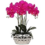 44CM Künstliche Orchidee Phalaenopsis Kunstblumen Dekorative Orchidee Bonsai Seidenblumen Kunstpflanze Arrangement im Keramiktopf Zimmerpflanze für Tischdekoration Wohnzimmer Wohnk