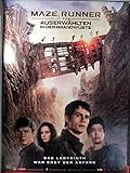 Maze Runner - Die Auserwählten in der Brandwüste Filmposter 120x80cm gerollt (1)