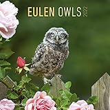 Eulen 2022 - Broschürenkalender 30x30 cm (30x60 geöffnet) - Kalender mit Platz für Notizen - Owls - Bildkalender - Wandplaner - Eulenk