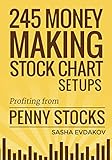 245 Money Making Stock Chart Setups: Profiting from Penny Stock