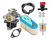OuyFilters Carburetor With 36356 Air Filter Shut Off Valve Fuel Filter Fuel Line for Tecumseh OHV125 OHV130 OVH135 Replace 640065