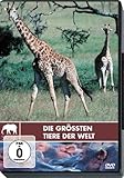 Safari - Die größten Tiere der W