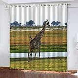 TTBBBB Vorhang Kinderzimmer Mädchen Gras Giraffe Tiere B 140 x H 160 cm 3D Druckmuster Öse Thermisch isoliert 90% Blickdicht Vorhang für Kinder Jungen Mädchen Sp
