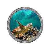 Wandtattoo Wandaufkleber 3D Fenster Delphin Schildkröten Unterwasserwelt Delfine Marine Wohnzimmer Schlafzimmer Kinderzimmer Deko (Schildkröten)