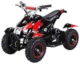 Actionbikes Motors Mini Kinder Elektro Quad ATV Cobra 800 Watt 36 V Pocket Quad - Original Saftey Touch - Kinder E Bike (Schwarz/Rot)