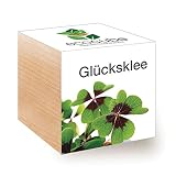 Extragreen Glücksklee Cubes von Feelgreen Holzwü