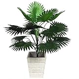 Fycooler 50cm Künstliche Palmblatt-Buschgrünpflanzen - Faux Gefälschte Tropische Palmwedel Künstliche Pflanze 18 Blätter Palme für Dschungel Strand Hawaii Luau Thema Home Party Hochzeit Dek