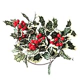 Rote Früchte Rattan Party Fenster Garten Dekoration Kupferdraht Lampe led rot Obst Stock Partei Fenster Terrasse Dekoration Kupfer Draht Lichter Vorhang Lichter dekorative farbige Lichter 2