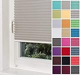 Home-Vision® Premium Plissee Faltrollo ohne Bohren mit Klemmfix Blickdicht Sonnenschutz Jalousie für Fenster & Tür (Grau, B25cm x H100cm)