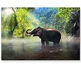 Paul Sinus Art Leinwandbilder | Bilder Leinwand 120x80cm Elefant im Dschung