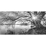Diamant Malerei set DIY Schwarz-weißer Baum am See 15.74x23.62inch Vollbohrer DIY 5D Diamant M