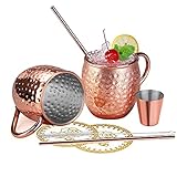 Wellead Moscow Mule Becher, Kupferbecher Moscow Mule Mug 2er Set mit 2 Becher, 2 Untersetzer, 2 Trinkhalme, Jigger in Geschenkbox für Kaltes Getränk, Bier, Gin, Vodka, Cocktails und Wasser Genieß