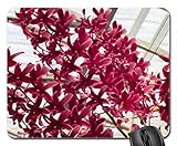 Rote Orchideen Mauspad, Mousepad (Blumenmauspad)