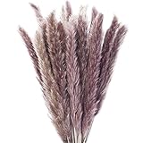 Hearkey 30 x Getrocknetes Pampasgras Deko Klein 44cm, Boho Deko Wohnzimmer&Schlafzimmer, Pampasgras Trockenblumen, Blumenstrauß Fluffig Natürlich Deko für Badezimmer Zimmer (Braun)