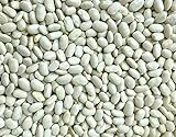 25 kg weiße Bohnen getrocknet white beans Hülsenfrüchte Fasulye GMO frei feinste Qualität S