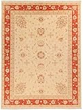 Rugs of London Traditioneller afghanischer Teppich, handgefertigt, Garous Zeigler, Wolle, 393 x 299 cm, roter Rand, Beig