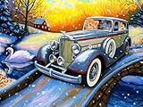 5D DIY Diamant Malerei Katze Handgemachte Geschenke Diamant Stickerei Auto Cartoon Kreuzstich Weihnachtsschmuck A11 60x80