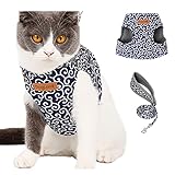 Komate Katzengeschirr mit Leine Ausbruchsicher Geschirr für Katzen Einstellbar Weiches Netz Haustier Katzenweste Kätzchen Jacke Hundegeschirr für Kleintiere Kaninchen welpe (S Brust 30-48cm, Blau)