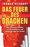 Das Feuer des Drachen: Was Chinesen antreibt, wo sie dominieren und warum sie üb