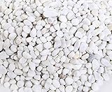 Ruiuzioong Kieselsteine 2 Pfund polierter Kies, natürliche polierte gemischte Farbsteine, kleine dekorative Flussgesteinsteine (White-1.5KG)