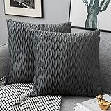 Yamonic Kissenbezüge Set Samt Soft Solid Dekorative Kissen Fall für Sofa Schlafzimmer 45cmx45cm 2er Pack für Couch Bett Sofa Stuhl Schlafzimmer Wohnzimmer, G