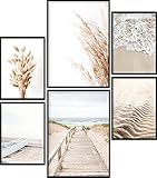 Calias® Mood-Poster Set Beige, Pampasgras, Meer | 2X DIN A4 und 4X DIN A5 | 6er Bilder Set ohne R