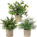 Briful Kunstpflanze Mini Künstliche Pflanze Eukalyptus Rosmarin Kräuter im Topf Deko Badezimmer Schreibtisch Küche Garden Dekoration 3er S