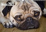 Mops 2022 (Wandkalender 2022 DIN A3 quer)