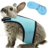 Verstellbares Hasen Geschirr Leine Weiches Geschirr für Kaninchen Mesh Kaninchen Geschirr Hamster Weste mit Elastischer Leine für Kleintiere Hasen Hamster Katzen Outdoor (L, Hellblau)