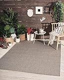 the carpet Mistra robuster Teppich, Flachgewebe, modernes Design, ideal für Küche und Esszimmer, Trendige Farben, besonders flach, auch für den Außenbereich, Grau, 60 x 110