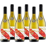Junge Winzer Oberrotweil Weißer Burgunder QbA trocken 2020 - Weißwein trocken, fruchtig frisch - Badischer Qualitäts-Wein, Anbaugebiet Kaiserstuhl (6 x 0,75 l)