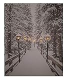 LED Wandbild 50x40 cm - Winterlandschaft mit 6 LED´s - Leinwand beleuchtet Leucht B