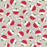 Simply Sew Crafty™ Weihnachts-Polycotton-Stoff, Meterware, Meterware, Rentiere, Schneeflocken, Sterne, Puddings, Zuckerstangen, Herzen, Wurst, Hunde (0,5 m, TCP904 Silber/Xmas Puddings auf Silber)