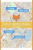 Tours de caminata: Singapur (Walking Tours) (Spanish Edition)