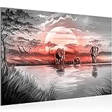 Bild Afrika Elefant Modern Wandbilder - 100% Made In Germany - Panorama Grau Rosa Flur 000715b