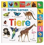 Erstes Lernen. Tiere: Pappbilderbuch mit Griff-Register und über 100 Fotos ab 1 J