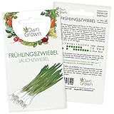 Frühlingszwiebel Samen: Premium Zwiebel Samen zur Anzucht von ca. 100 Frühlingszwiebel Pflanzen – Bestes Wintergemüse Saatgut für Hochbeet und Garten – Samen Gemüse Balkon – Gemüse Samen von OwnGrow