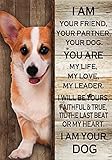 Niedliches Hundeschild 'I Am Your Friend Your Partner Your Dog You Are My Life', Wanddekoration, Metall, 30,5 x 20,3