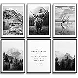 MONOKO® Wohnzimmer Poster Set - Schlafzimmer Bilder Set Premium - Stilvolle Wandbilder - 6er Set ohne Rahmen (Set Schwarz-weiss, Natur, Highland Cow, 6x A4 (21 x 29,7cm))