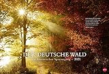 Der deutsche Wald - Ein literarischer Spaziergang - großer Foto-Wandkalender 2021 mit Zitaten deutscher Klassiker - Monatskalendarium - Format 58 x 39