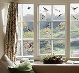 Komar 16003, Bunt Window-Sticker BIRDS Fensterdeko, Ornithologie, Fenstersticker, Fensterfolie, Vogel, Blaumeise, Vogelschaar, Vintage-16003, 31 x 31 cm, 2 Bog