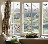 Komar 16003, Bunt Window-Sticker BIRDS Fensterdeko, Ornithologie, Fenstersticker, Fensterfolie, Vogel, Blaumeise, Vogelschaar, Vintage-16003, 31 x 31 cm, 2 Bog