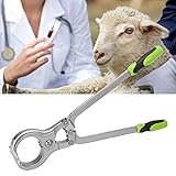 XDXDO Ziege Emasculator Veterinary Tool Castration Zange Edelstahl Blutlose Kastration Zang