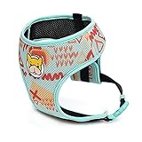 JIAFANG Weich Mesh Katzengeschirr, Hundegeschirr, Atmungsaktiv Brustgeschirr für Kleine Mittlere Hunde, No Pull Dog Harness, verstellbar, gepolstert, Leichtes Anlegen, Mehrere Größen zur Ausw