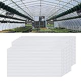 NAIZY 14x Polycarbonat Hohlkammerstegplatten, 4mm | 10,25 m² Doppelstegplatte für Gewächshaus Garten Treibhaus Ersatzplatten (60.5 x 121cm) - Transp