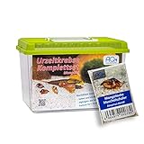 AQ4Aquaristik Premium Mongolische Muschelschaler Komplett-Set mit Urzeitkrebse Eiern, 6 l Becken, LED-Beleuchtung, Zuchtansatz, Heizung, Filter, Luftpumpe, Kescher, Futter, Zubehör, Anleitung